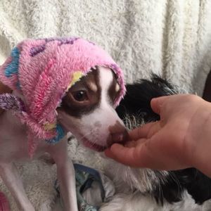 Meet your Posher, Josefine